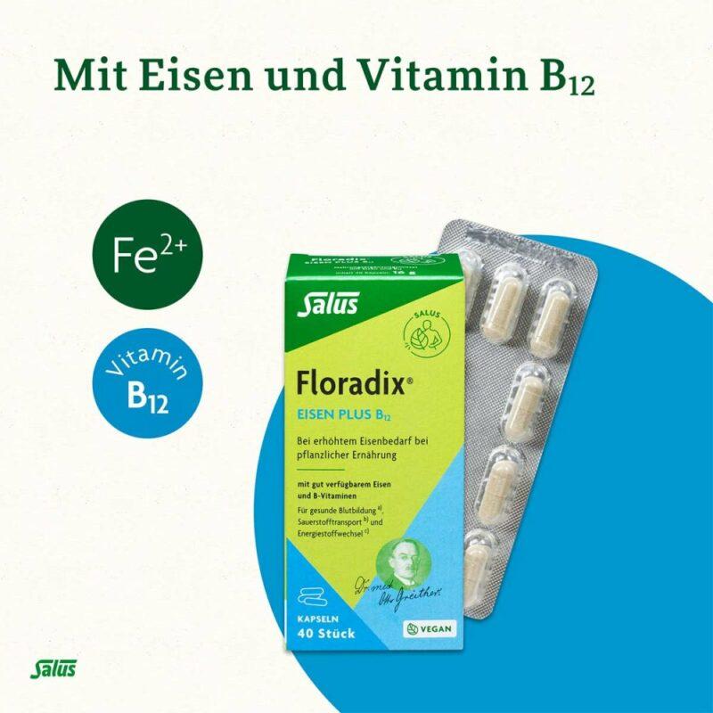 Eisen und Vitamin B12